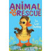 Animal Rescue : The Lost Duckling by ''Tina Nolan''
